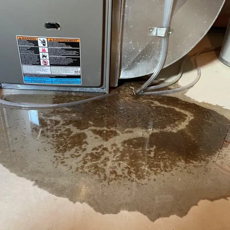 Appliance Leak Cleanup in Philomath, OR