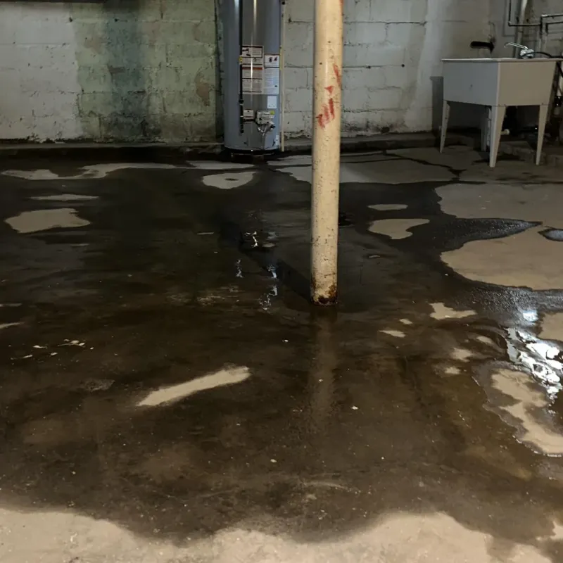 Emergency Water Extraction And Removal in Philomath, OR